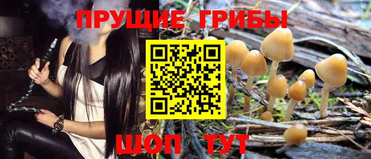 Псилоцибиновые грибы Magic Shrooms  закладка  Псилоцибиновые грибы Cubensis  Алушта  Вход с VPN 